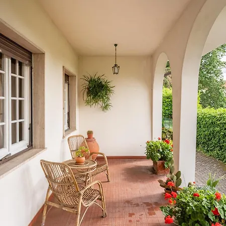 Tea Rose House Capannori